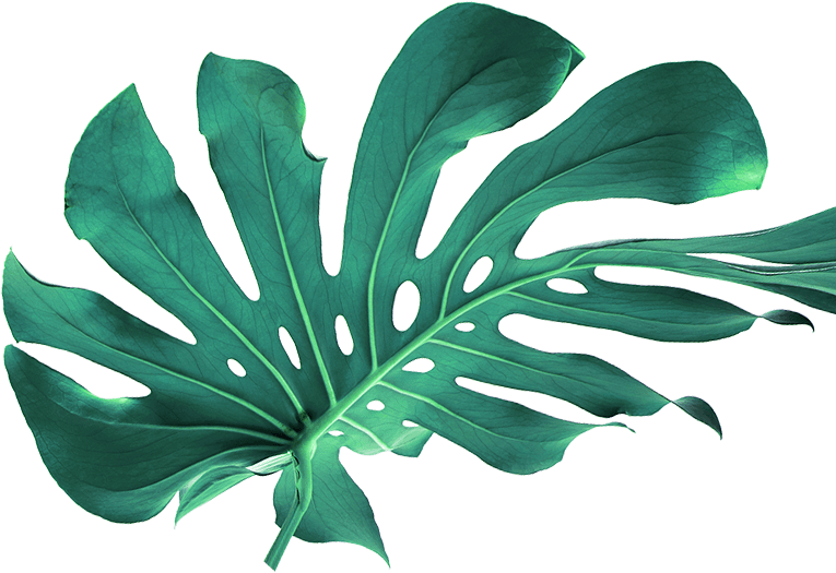 Right Parallax Background Element